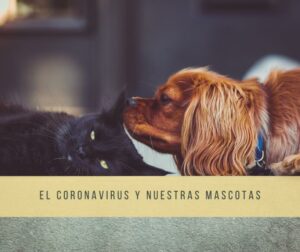 EL CORONAVIRUS Y NUESTRAS MASCOTAS
