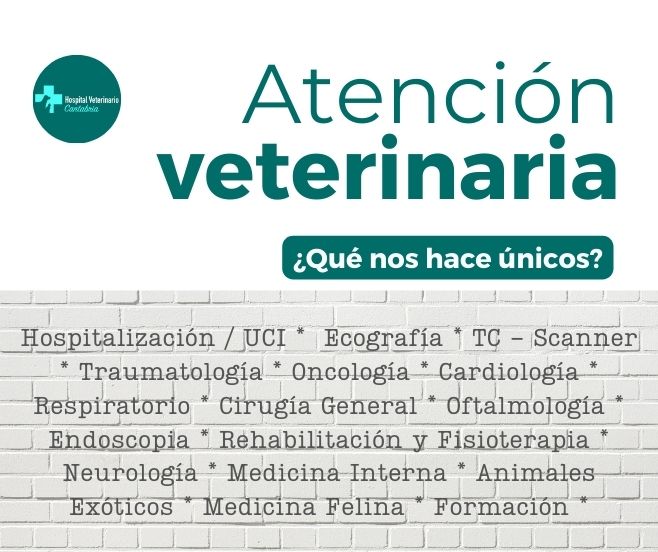 atencion veterinaria