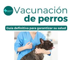 vacunación para perros en Cantabria