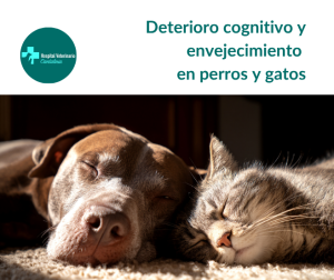 deterioro cognitivo perros y gatos