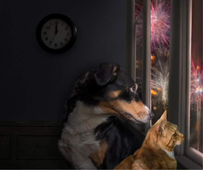 el ruido y los fuegos artificiales