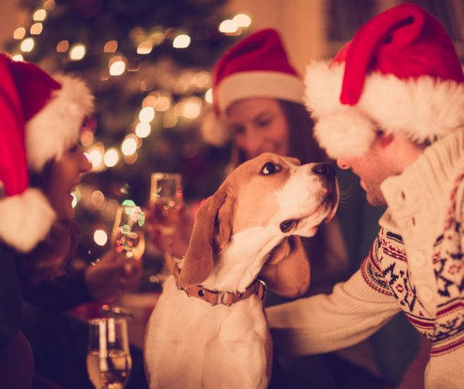 el ruido y los fuegos artificiales