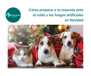 el ruido y los fuegos artificiales