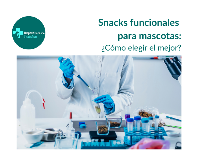 snacks funcionales