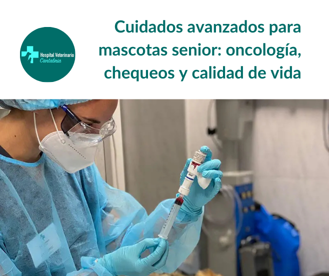 Calidad de vida en mascotas senior