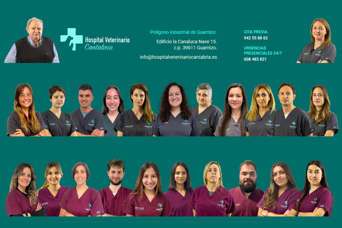 Veterinarios y auxiliares del Hospital Veterinario Cantabria: Pasión y excelencia en el cuidado animal